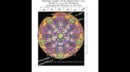 BIM+PT+DNA+E-B Virus